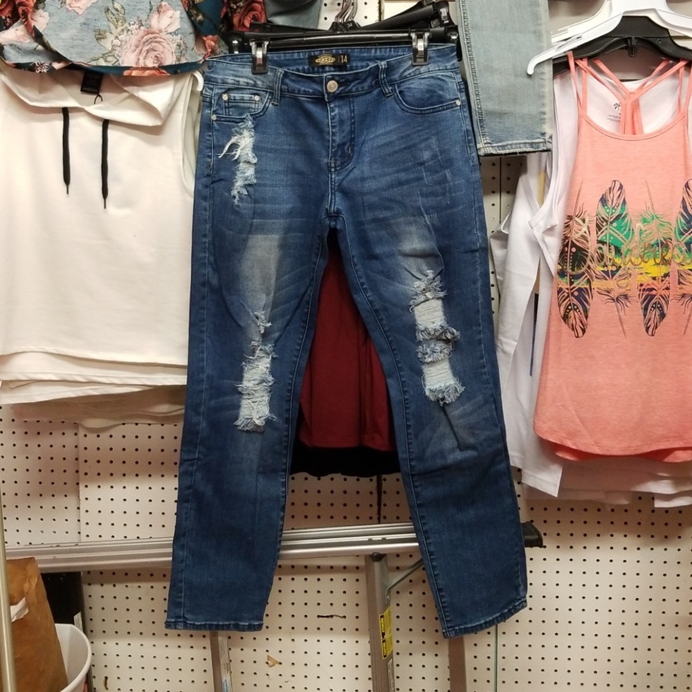Plus Size High Waist Skinny Jeans